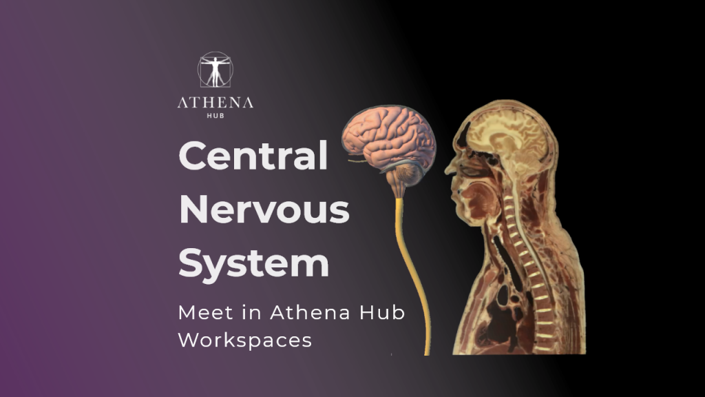 Components Central Nervous System - Athena Hub Workspaces