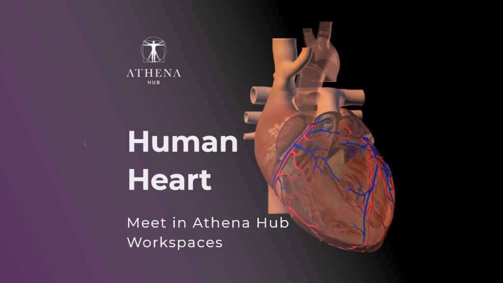 Human Heart Athena Hub Workspaces
