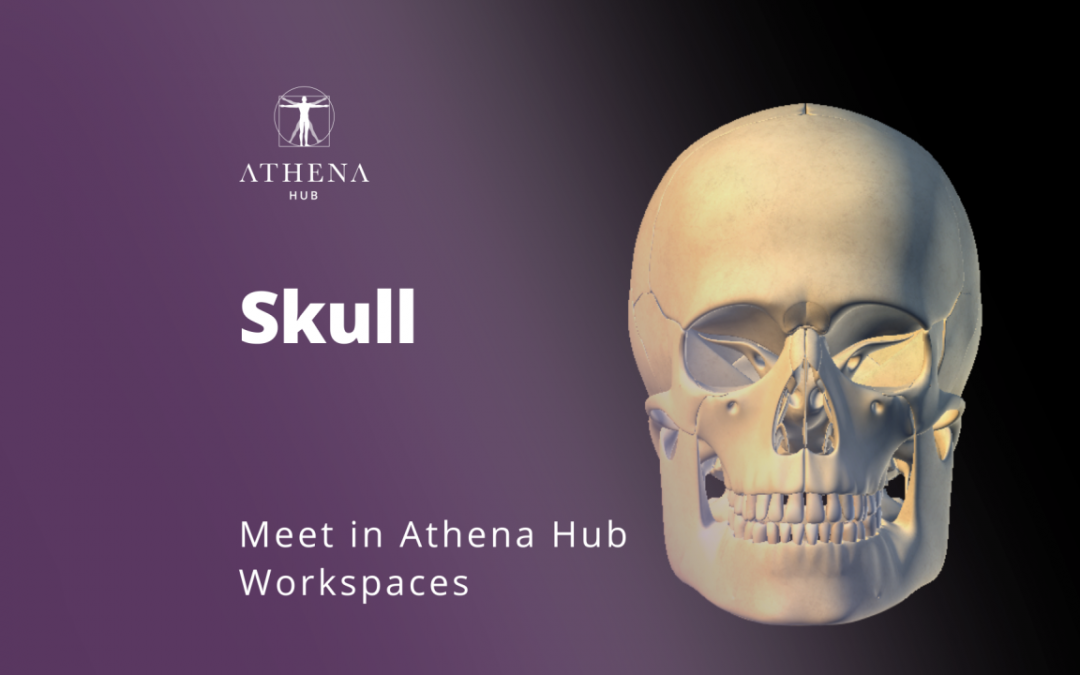 Crânio – Athena Hub Workspaces