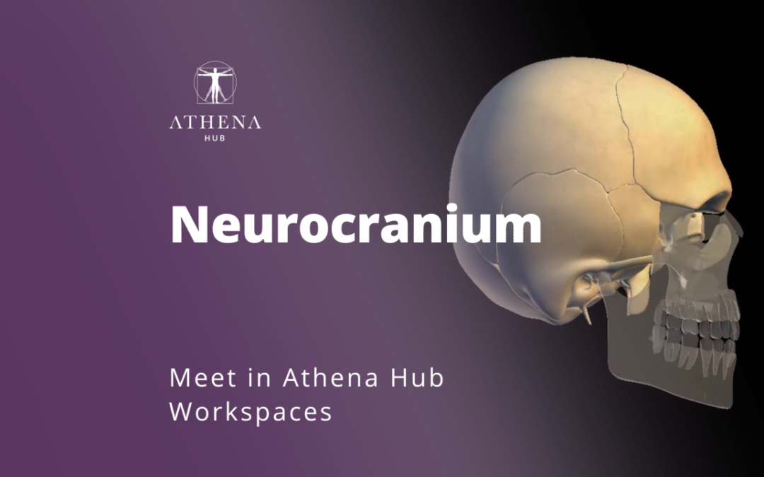 Neurocrânio – Athena Hub Workspaces
